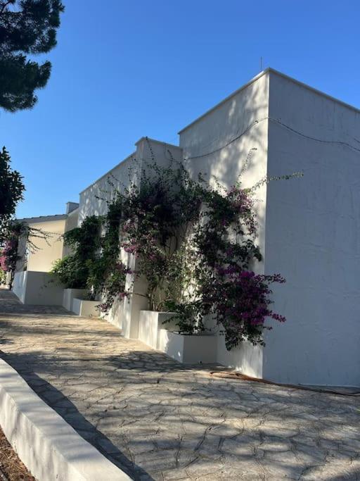 Villa Bouganville 2 Ostuni Buitenkant foto