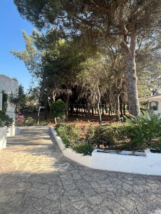 Villa Bouganville 2 Ostuni Buitenkant foto